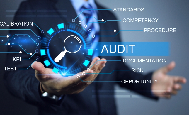 Business professional presenting a digital interface with key audit concepts and metrics.